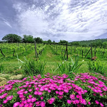 Lo Scoiattolo By Posarellivillas Villa Subbiano